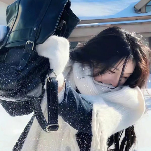 史努比敬献：欢迎回家，富兰克林